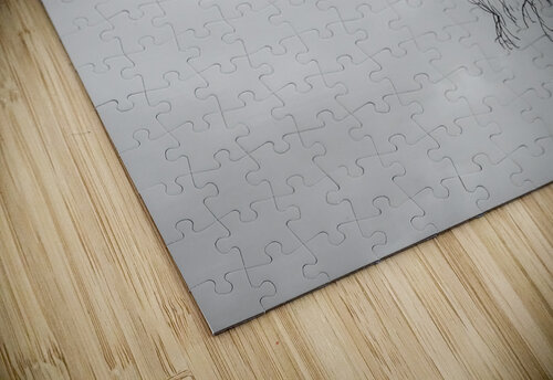 Reflection of branch in Coniston Water  Steve Heap puzzle