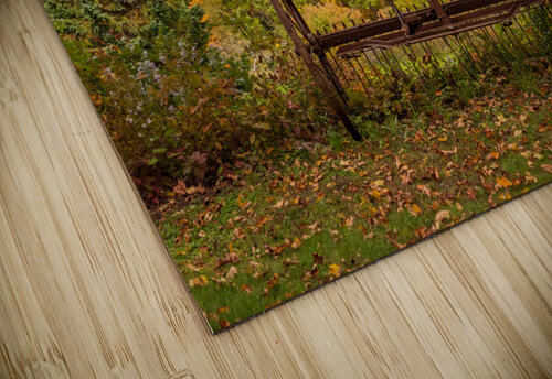 Horse drawn rake by fall colors in Vermont Steve Heap puzzle