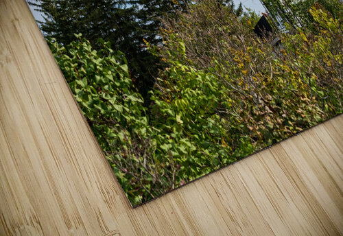 Old Colchester Reef lighthouse in Shelburne Steve Heap puzzle