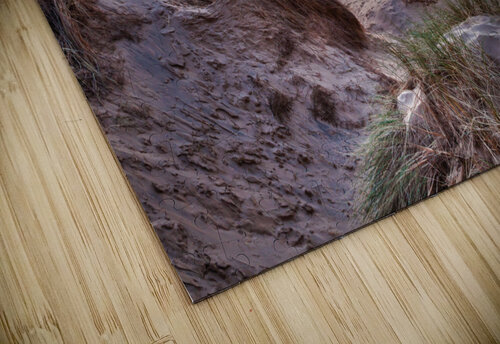Sunset over Formby Beach through dunes Steve Heap puzzle