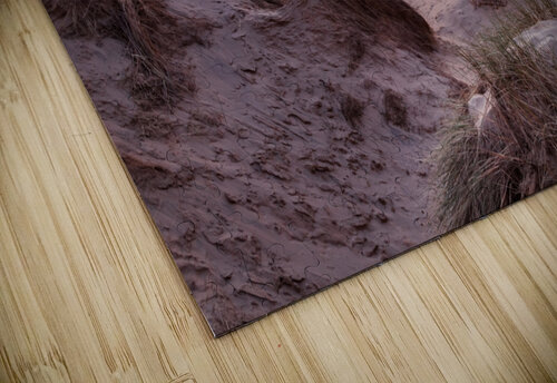 Sunset over Formby Beach through dunes Steve Heap puzzle