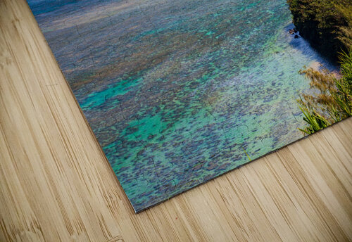 Sealodge and anini beach in Kauai Steve Heap puzzle