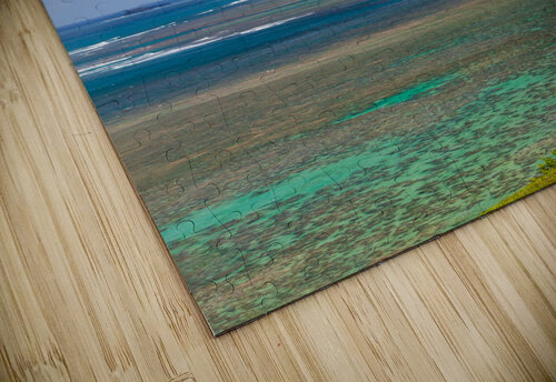 Sealodge and anini beach in Kauai Steve Heap puzzle
