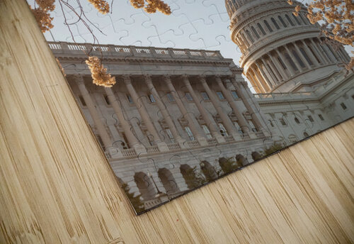Cherry blossoms framing the Capitol Steve Heap puzzle