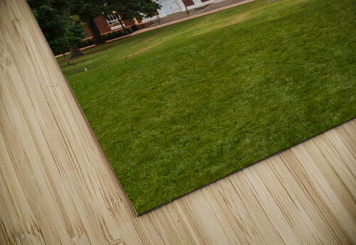 Old Cabell Hall at University of Virginia Steve Heap puzzle