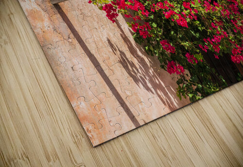 Street lamp in Unesco historical town of Colonia del Sacramento Steve Heap puzzle