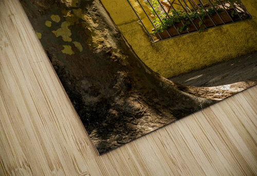 Window to courtyard of antique shop in Colonia del Sacramento Steve Heap puzzle