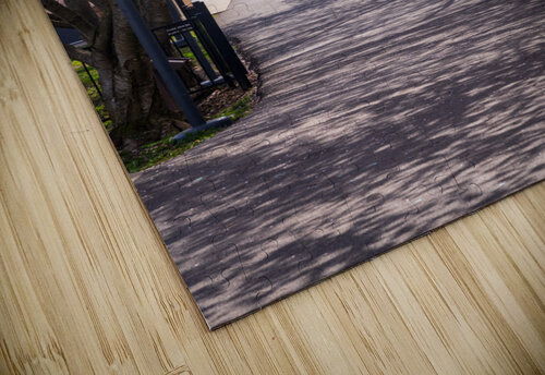 Cherry blossoms over walking trail  by the river in Morgantown W Steve Heap puzzle