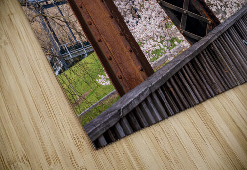 Steel girder bridge carries the bike walking trail over Deckers  Steve Heap puzzle