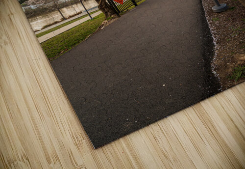 Jogger running on the bike walking trail over Deckers Creek Morg Steve Heap puzzle