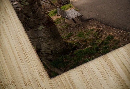 Steel girder bridge carries the bike walking trail over Deckers  Steve Heap puzzle