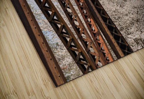 Steel girder bridge carries the bike walking trail over Deckers  Steve Heap puzzle