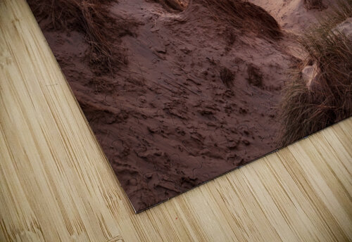 Sunset over Formby Beach through sand dunes Steve Heap puzzle