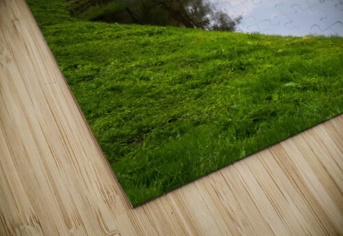 Springtime at Fountains Abbey ruins in Yorkshire England Steve Heap puzzle