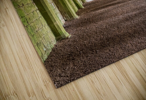 Cellarium under Fountains Abbey ruins in Yorkshire England Steve Heap puzzle