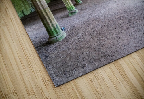 Cellarium at Fountains Abbey ruins in Yorkshire England Steve Heap puzzle