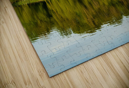 View across the Mere to a reflection of distant trees in Ellesme Steve Heap puzzle