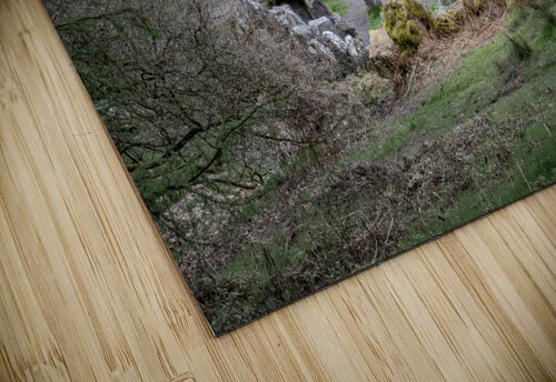 Standing stones of the Druids Plantation in Nidderdale Steve Heap puzzle