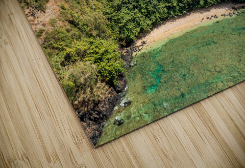 Aerial overview of Sealodge beach in Princeville on Kauai Steve Heap puzzle