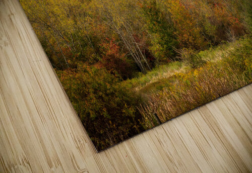 Historic red barn and farm nestled in fall colors in West Virgin Steve Heap puzzle