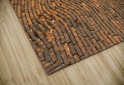 Pattern of bricks on Snake Alley in Burlington Iowa Steve Heap puzzle