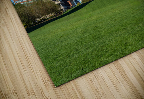 Old Courthouse in St Louis Missouri seen across green lawn Steve Heap puzzle