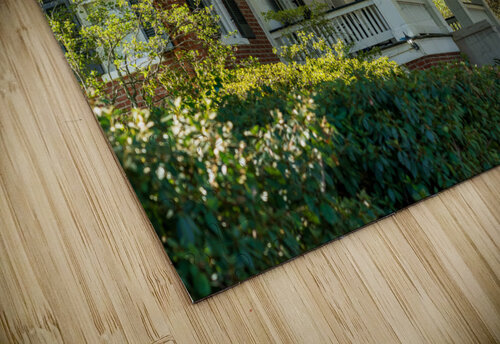 Facade of antebellum home in Natchez in Mississippi Steve Heap puzzle