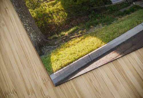 Facade of antebellum home in Natchez in Mississippi Steve Heap puzzle