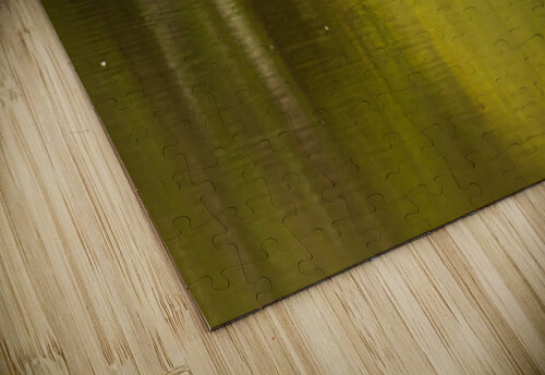 Great blue heron standing in calm water in Atchafalaya basin Steve Heap puzzle