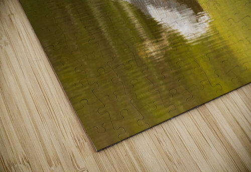 Great blue heron taking off from calm water in Atchafalaya basin Steve Heap puzzle