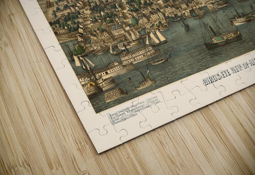 Restored birds eye view of street plan of Alexandria VA 1863 Steve Heap puzzle