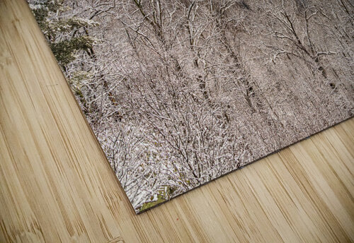 Snowy Cheat River Canyon at Coopers Rock on winter afternoon Steve Heap puzzle