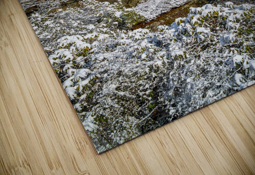 Coopers Rock overlook covered in winter snow near Morgantown Steve Heap puzzle