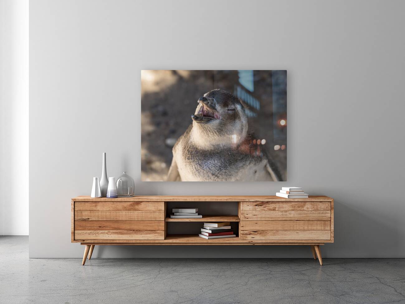 Single magellanic penguin chick showing papillae in mouth Reproduction