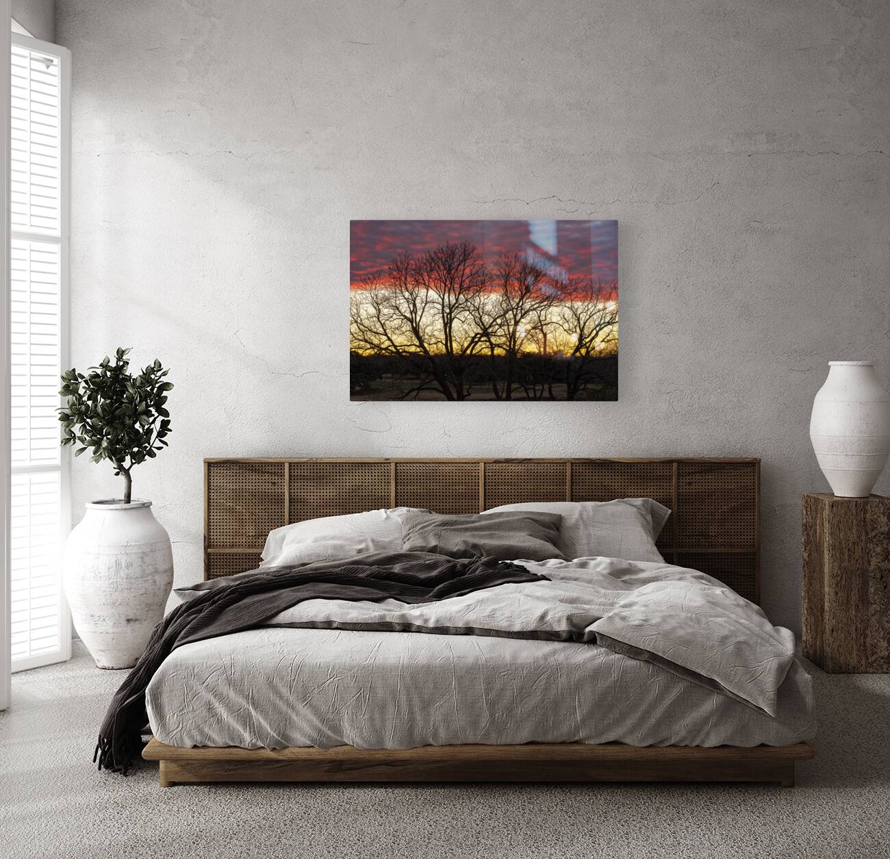 Dramatic sunset over Legacy Hills Park lake with details of tree Reproduction