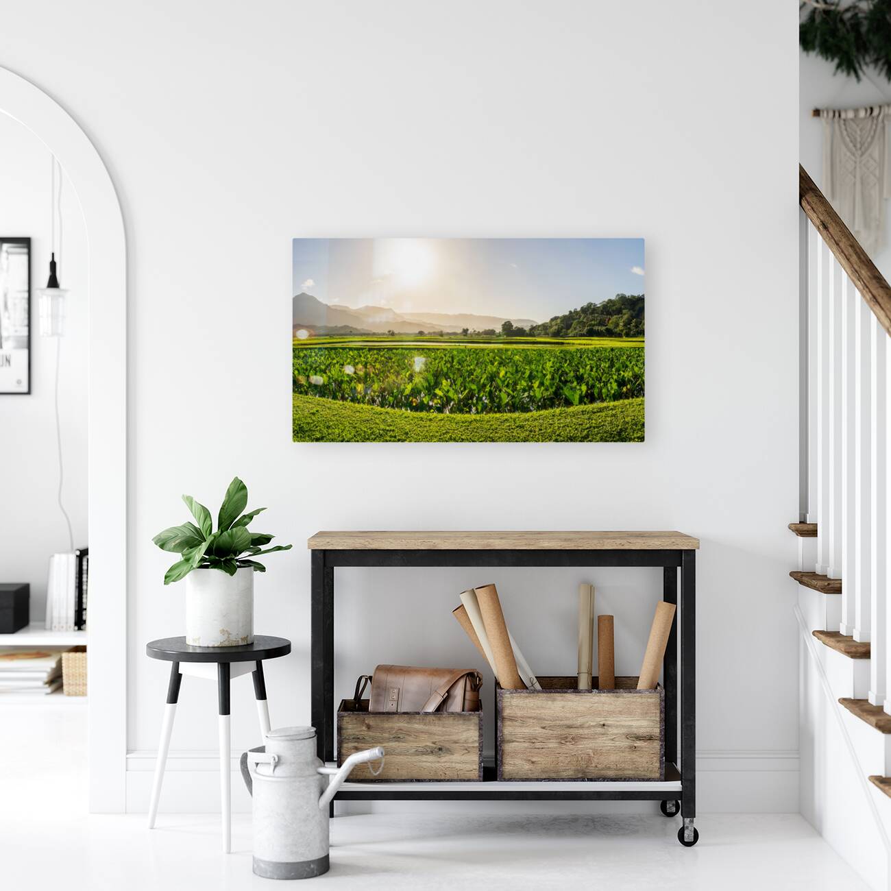 Verdant taro fields thrive under the Hawaiian sun near Hanalei B Reproduction