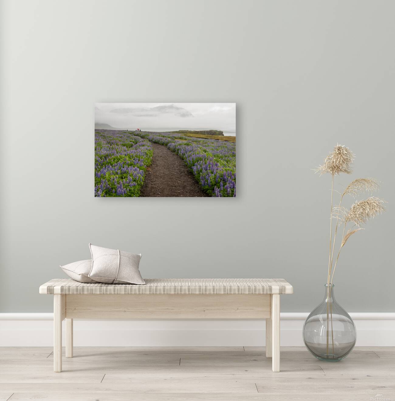 Path from the bird watching cliffs at Skalanes Nature Center Reproduction