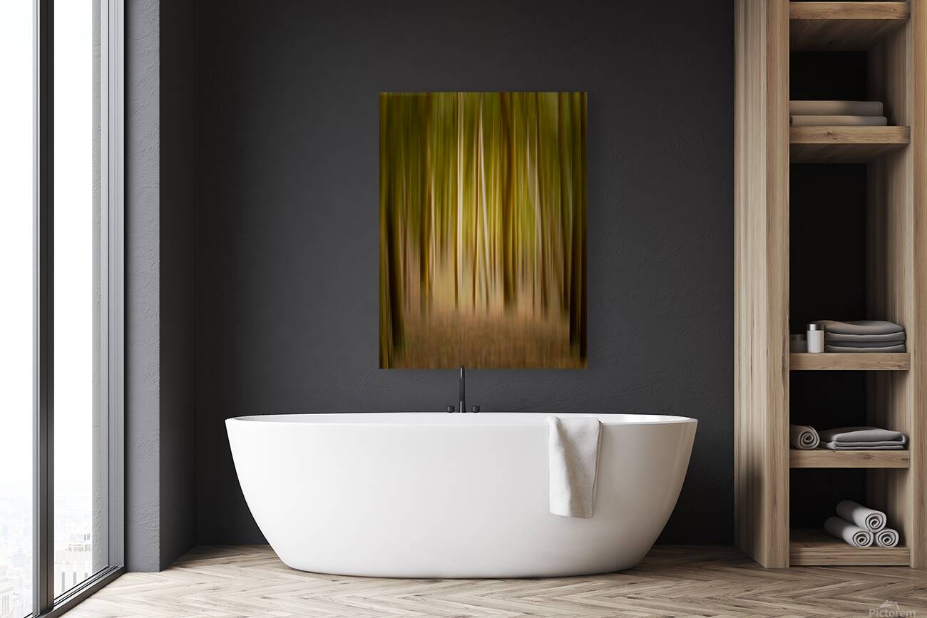 Path through pine trees with intentional camera movement Reproduction