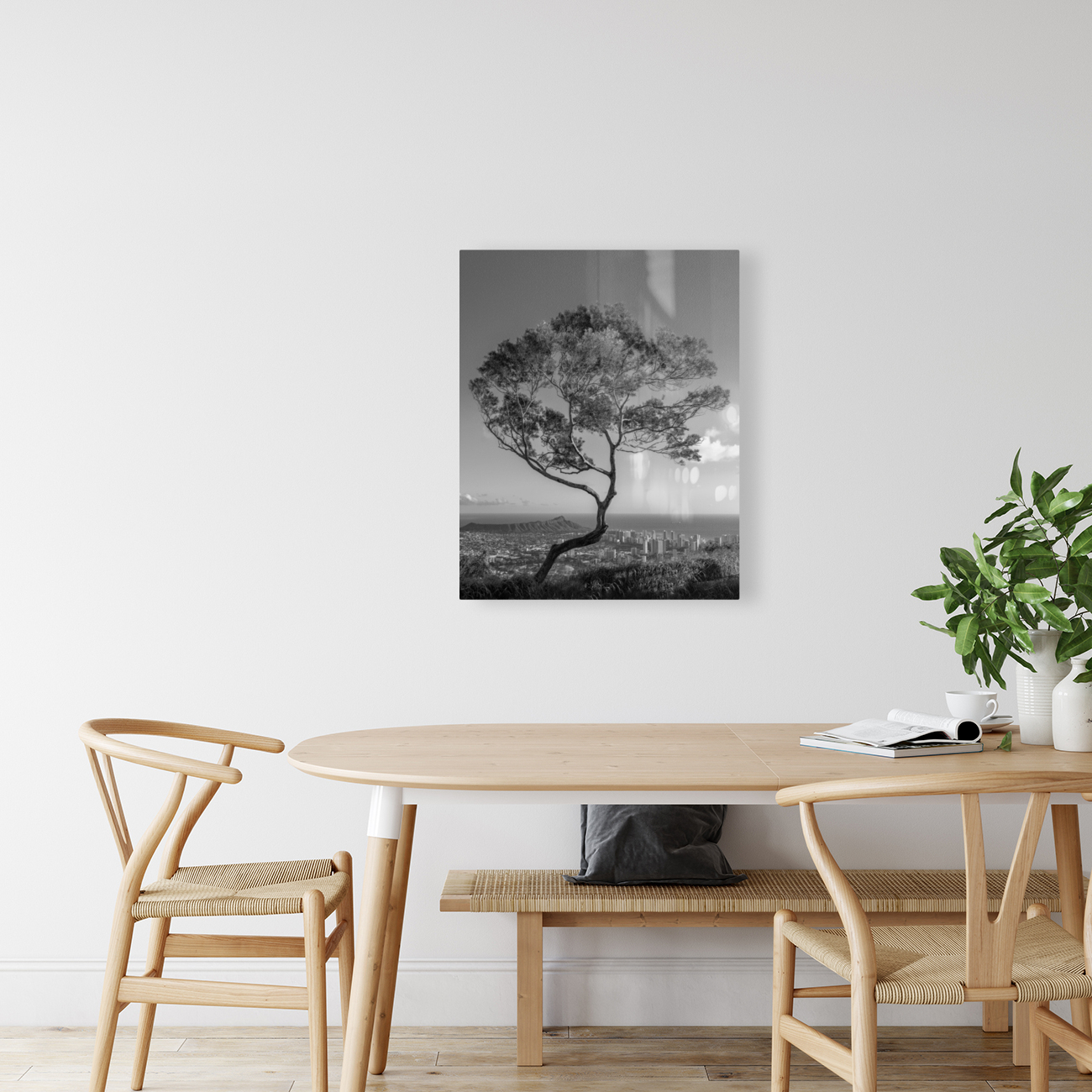 Solitary tree overlooks Waikiki in Black and White Reproduction