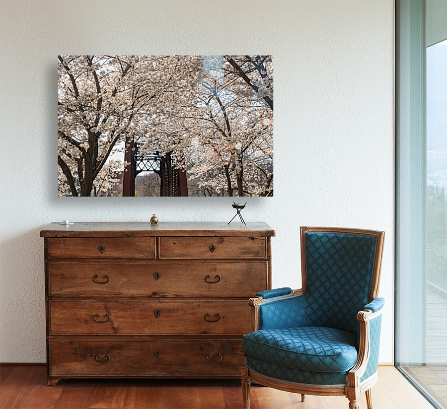 Blossoms by the steel girder bridge carries the bike walking trail Reproduction