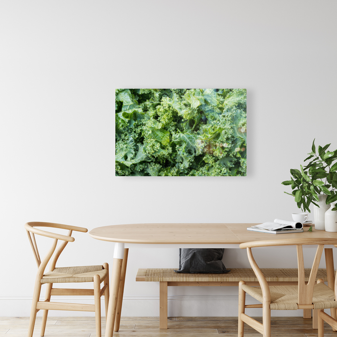 Freshly washed and trimmed kale leaves Reproduction