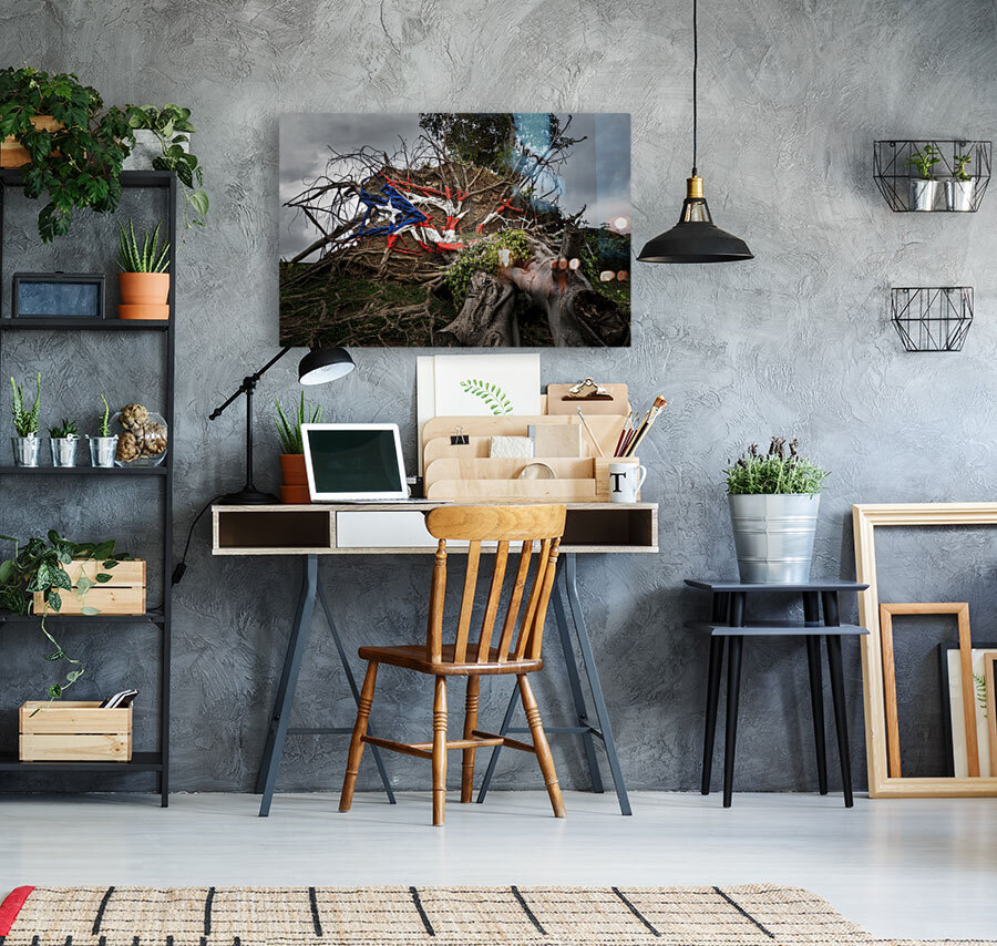 Fallen tree from Hurricane Maria in San Juan Reproduction