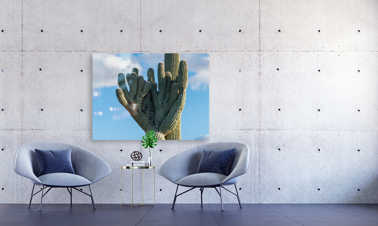 Crested Saguaro in National Park West Reproduction