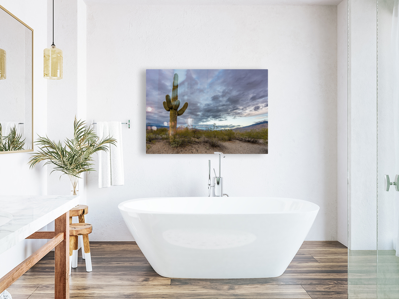 Sunset in Saguaro National Park Tucson Reproduction