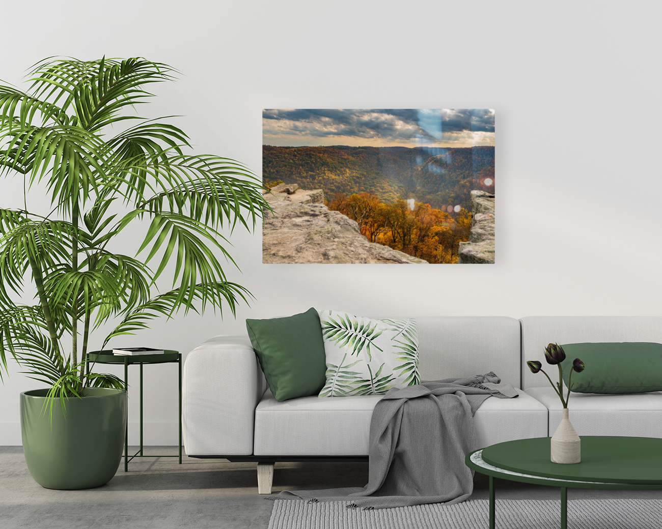 Raven Rock overlooks forest at Coopers Rock Reproduction
