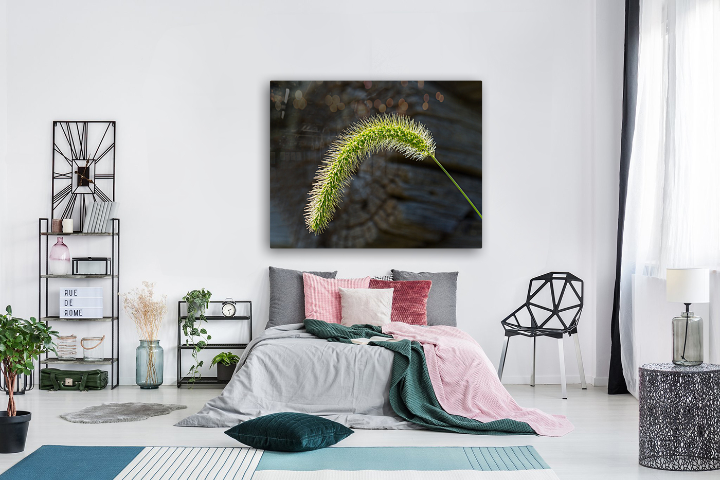 Backlit grass seedhead thought to be Timothy Reproduction