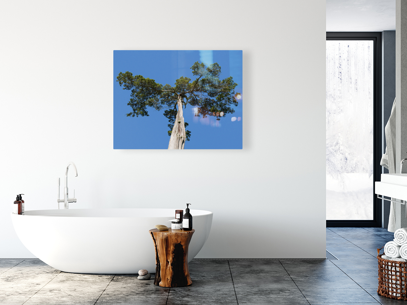 Old Cedar tree at Appomattox National Park Reproduction