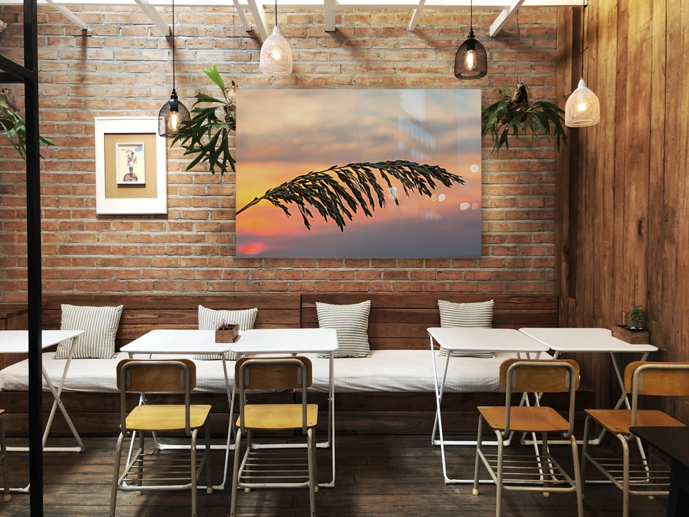 Sea Oats against rising sun in Florida Reproduction