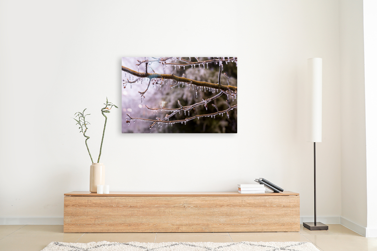 Ice covered branches start to melt to icicles Reproduction