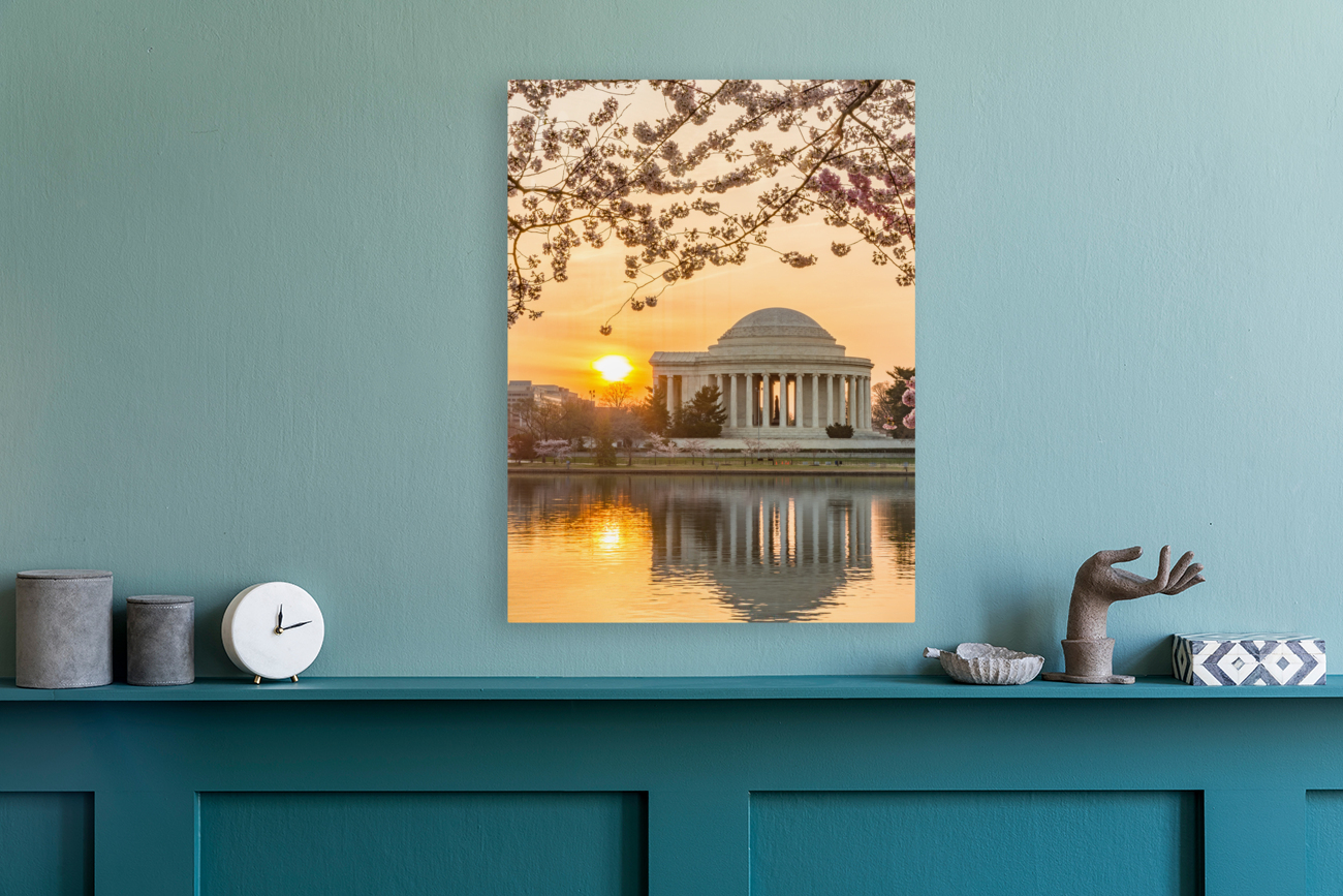 Sun rising by Cherry Blossoms and Jefferson Memorial Reproduction